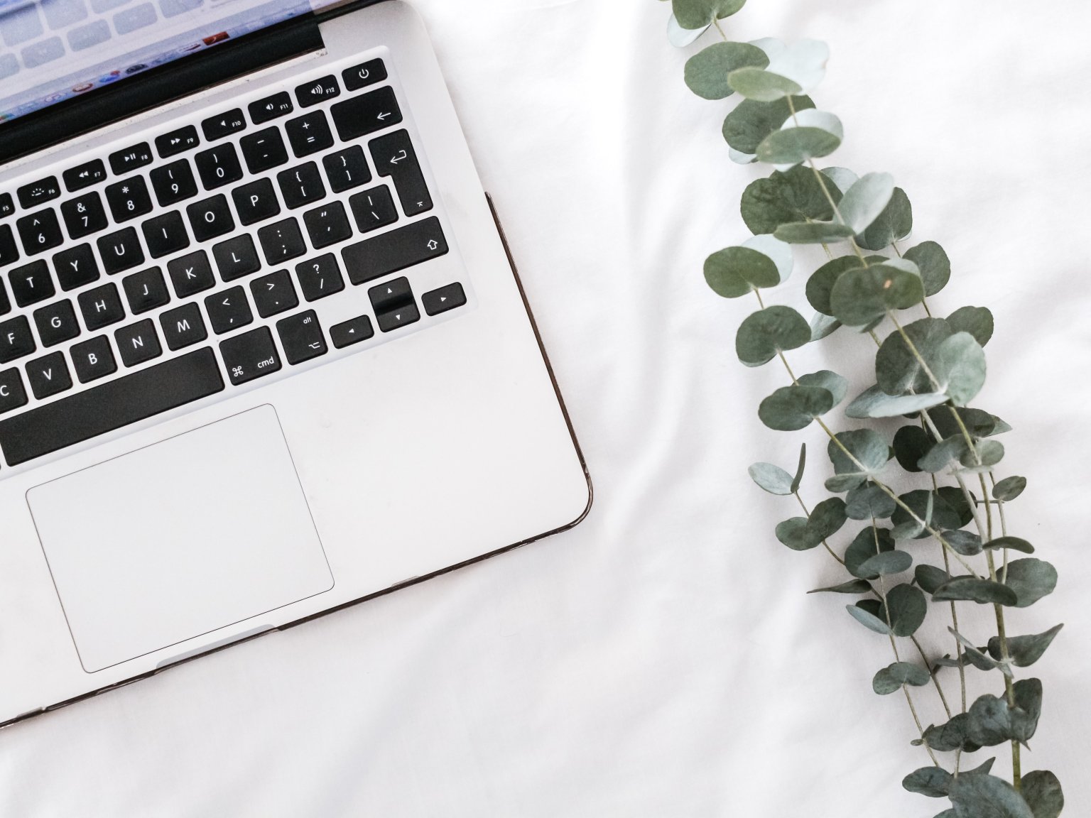 Teamwork Data Migration: How to Import Your Data Automatedly