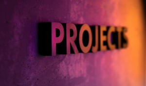 Project Management Glossary